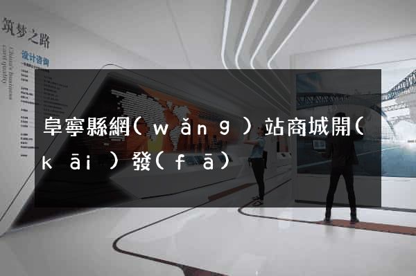 阜寧縣網(wǎng)站商城開(kāi)發(fā)