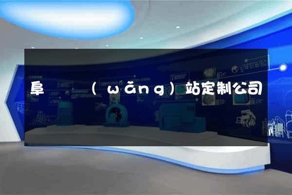 阜寧縣網(wǎng)站定制公司