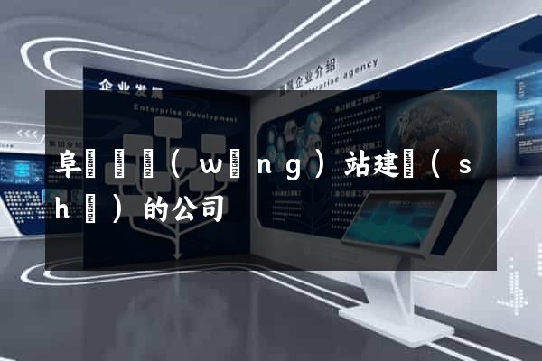 阜寧縣網(wǎng)站建設(shè)的公司