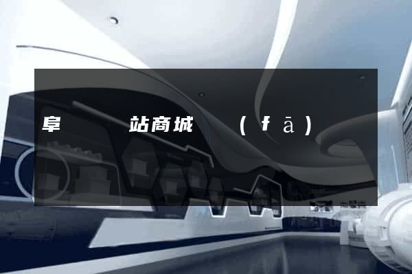 阜寧縣網站商城開發(fā)