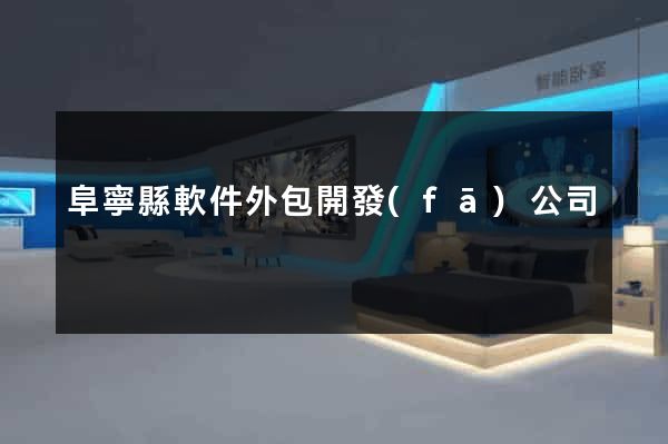 阜寧縣軟件外包開發(fā)公司