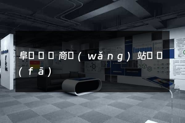 阜寧縣電商網(wǎng)站開發(fā)