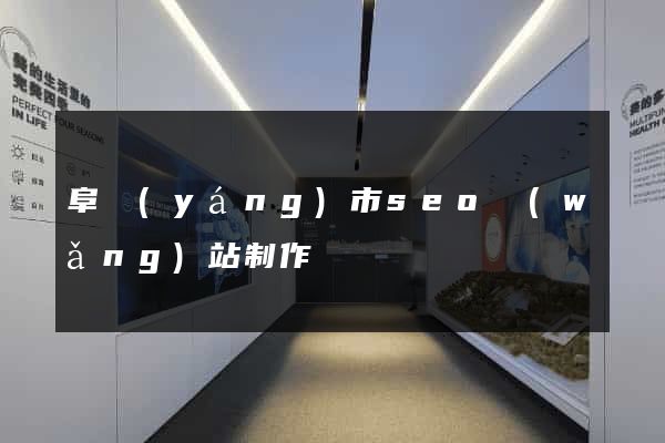 阜陽(yáng)市seo網(wǎng)站制作