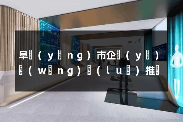 阜陽(yáng)市企業(yè)網(wǎng)絡(luò)推廣