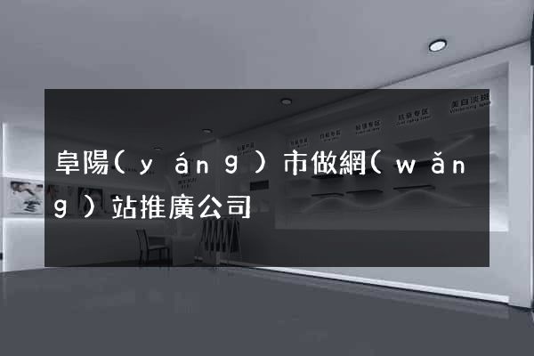 阜陽(yáng)市做網(wǎng)站推廣公司