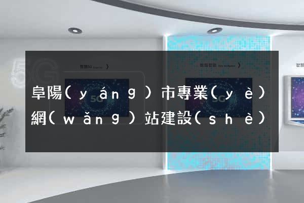 阜陽(yáng)市專業(yè)網(wǎng)站建設(shè)