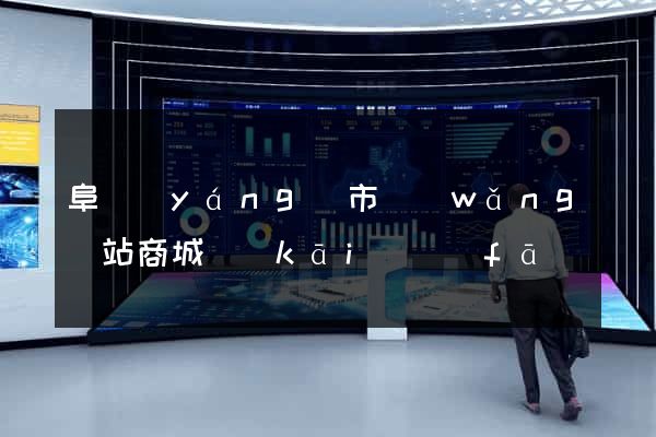 阜陽(yáng)市網(wǎng)站商城開(kāi)發(fā)