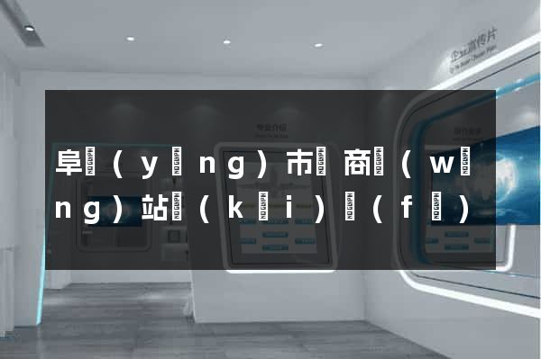 阜陽(yáng)市電商網(wǎng)站開(kāi)發(fā)