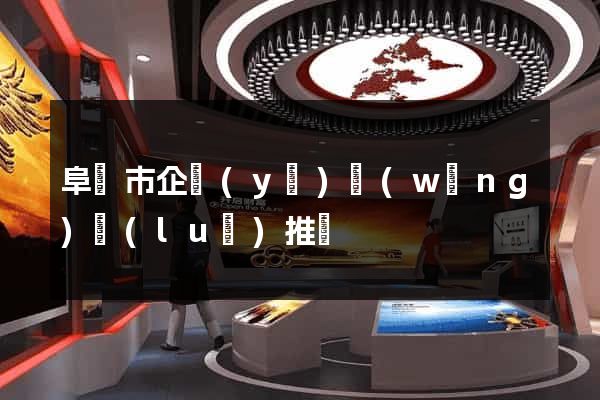 阜陽市企業(yè)網(wǎng)絡(luò)推廣