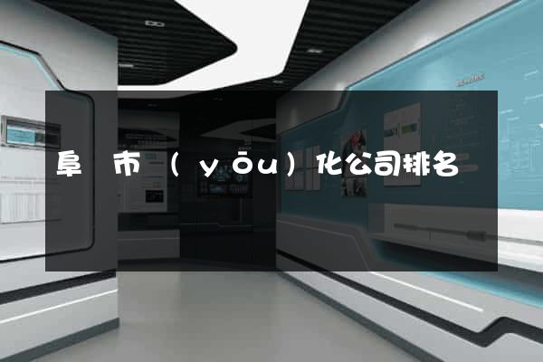 阜陽市優(yōu)化公司排名