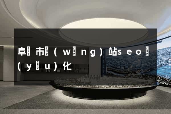 阜陽市網(wǎng)站seo優(yōu)化