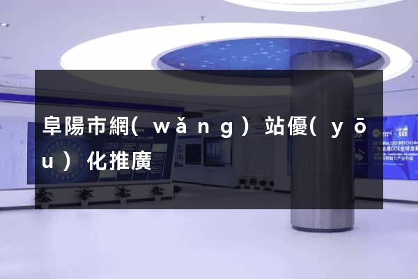 阜陽市網(wǎng)站優(yōu)化推廣