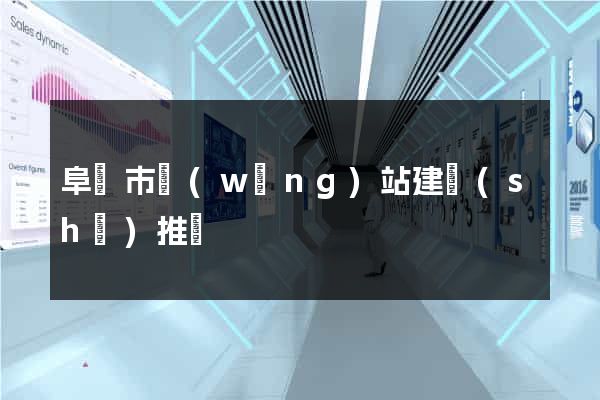 阜陽市網(wǎng)站建設(shè)推廣