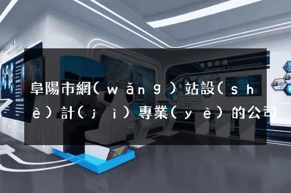 阜陽市網(wǎng)站設(shè)計(jì)專業(yè)的公司