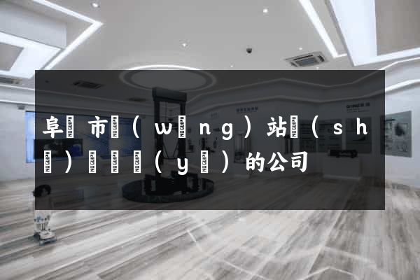 阜陽市網(wǎng)站設(shè)計專業(yè)的公司
