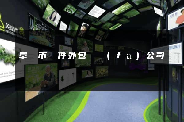 阜陽市軟件外包開發(fā)公司
