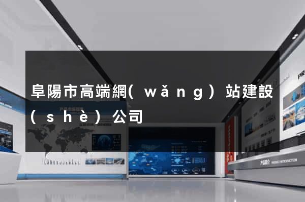 阜陽市高端網(wǎng)站建設(shè)公司