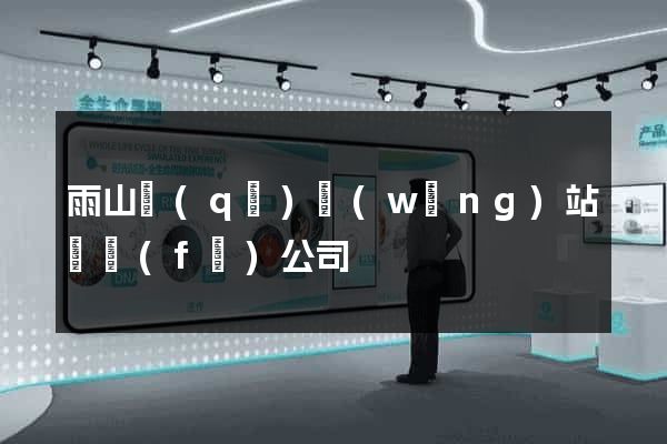 雨山區(qū)網(wǎng)站開發(fā)公司