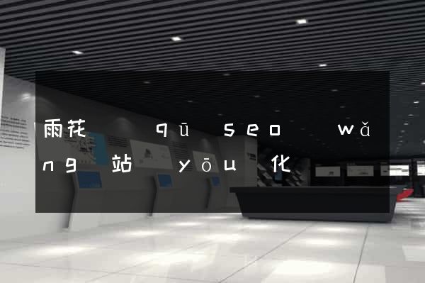 雨花臺區(qū)seo網(wǎng)站優(yōu)化