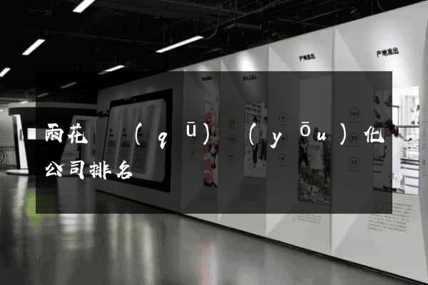 雨花臺區(qū)優(yōu)化公司排名