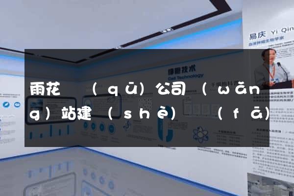 雨花臺區(qū)公司網(wǎng)站建設(shè)開發(fā)