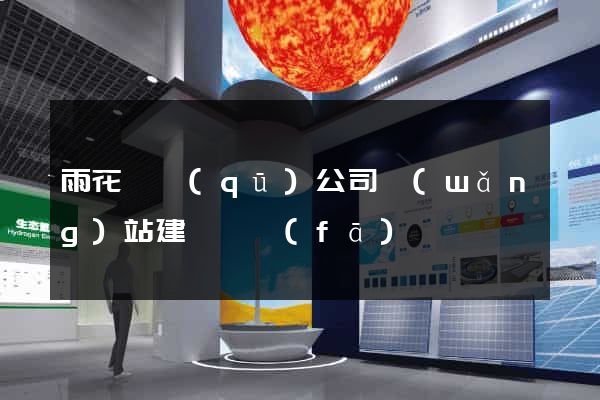 雨花臺區(qū)公司網(wǎng)站建設開發(fā)