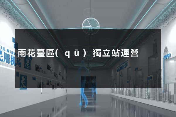 雨花臺區(qū)獨立站運營