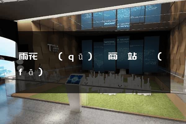 雨花臺區(qū)電商網站開發(fā)