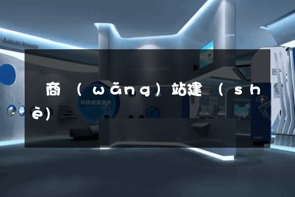 電商網(wǎng)站建設(shè)
