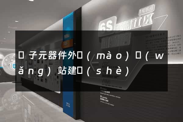 電子元器件外貿(mào)網(wǎng)站建設(shè)