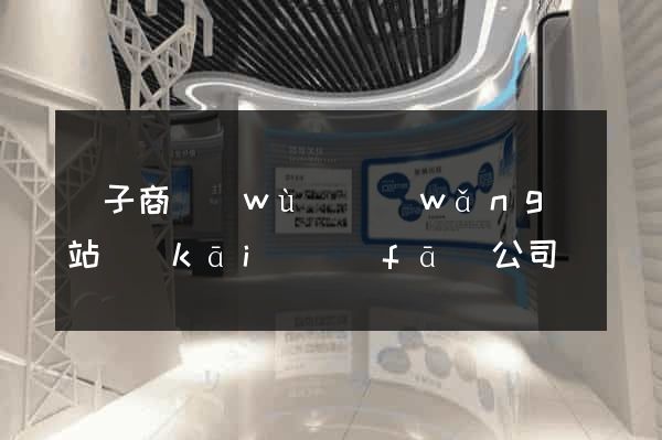 電子商務(wù)網(wǎng)站開(kāi)發(fā)公司
