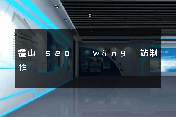 霍山縣seo網(wǎng)站制作