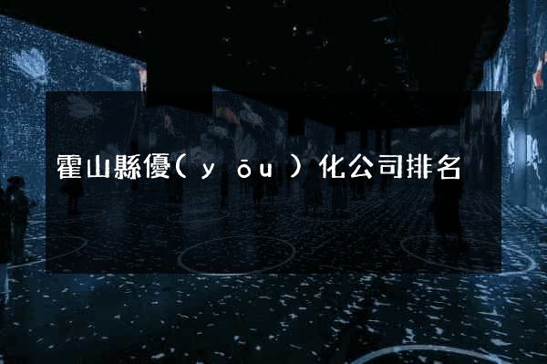 霍山縣優(yōu)化公司排名