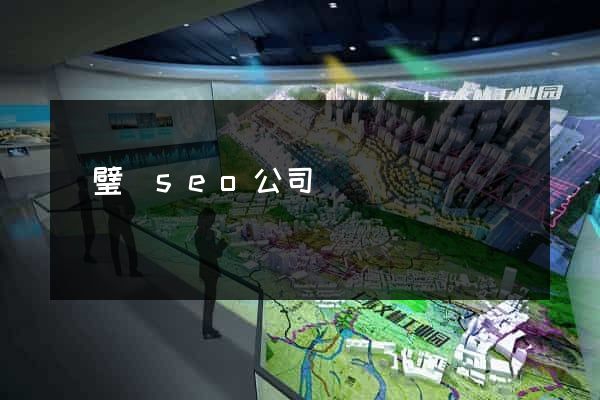 靈璧縣seo公司