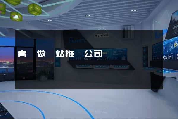 青島做網站推廣公司