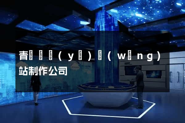 青島專業(yè)網(wǎng)站制作公司