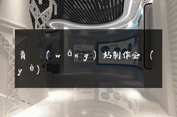 青島網(wǎng)站制作企業(yè)