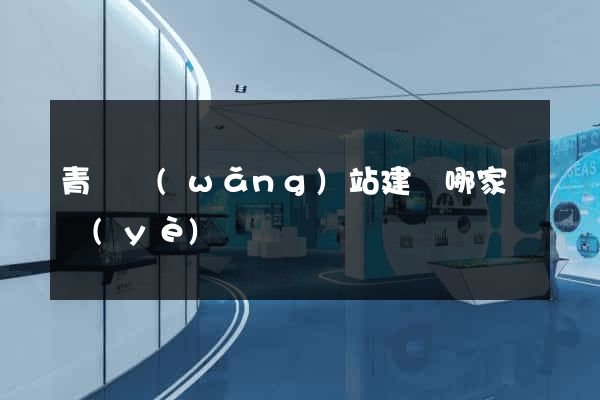 青島網(wǎng)站建設哪家專業(yè)