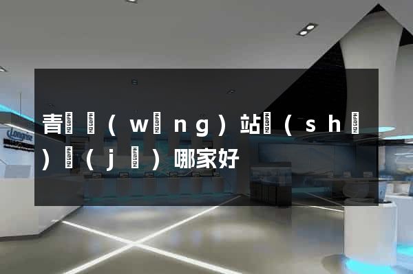 青島網(wǎng)站設(shè)計(jì)哪家好