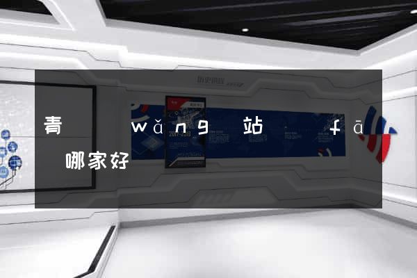 青島網(wǎng)站開發(fā)哪家好