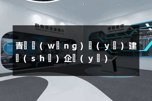 青島網(wǎng)頁(yè)建設(shè)企業(yè)