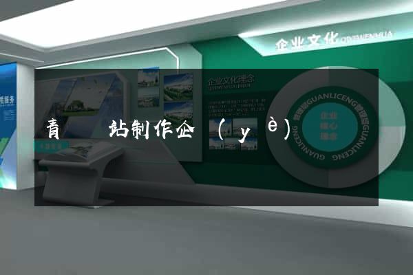 青島網站制作企業(yè)
