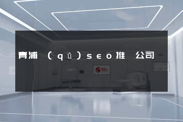 青浦區(qū)seo推廣公司
