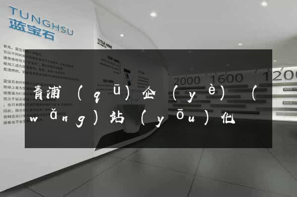 青浦區(qū)企業(yè)網(wǎng)站優(yōu)化