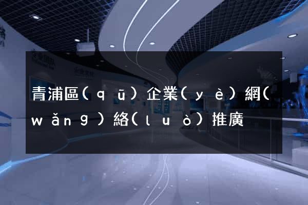青浦區(qū)企業(yè)網(wǎng)絡(luò)推廣