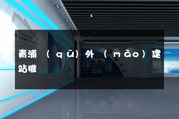 青浦區(qū)外貿(mào)建站推廣