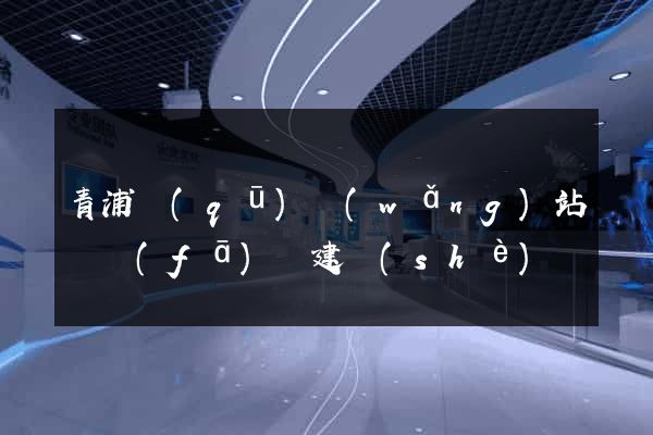 青浦區(qū)網(wǎng)站開發(fā)與建設(shè)