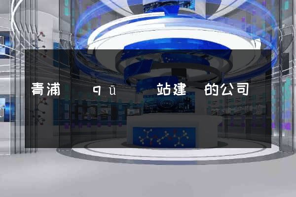 青浦區(qū)網站建設的公司