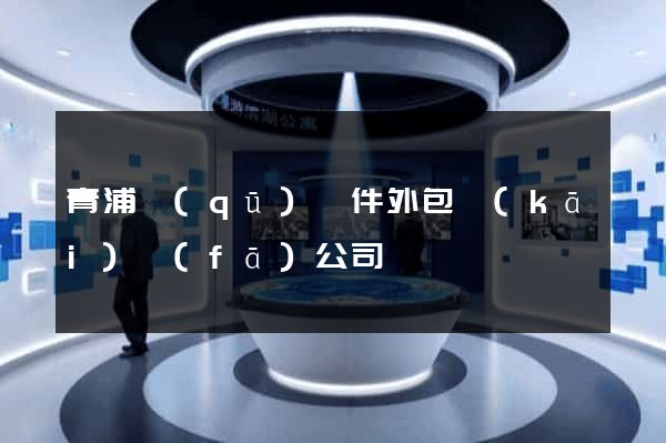 青浦區(qū)軟件外包開(kāi)發(fā)公司