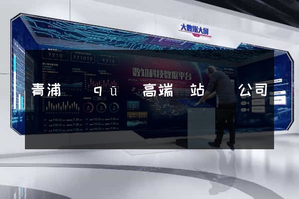 青浦區(qū)高端網站設計公司